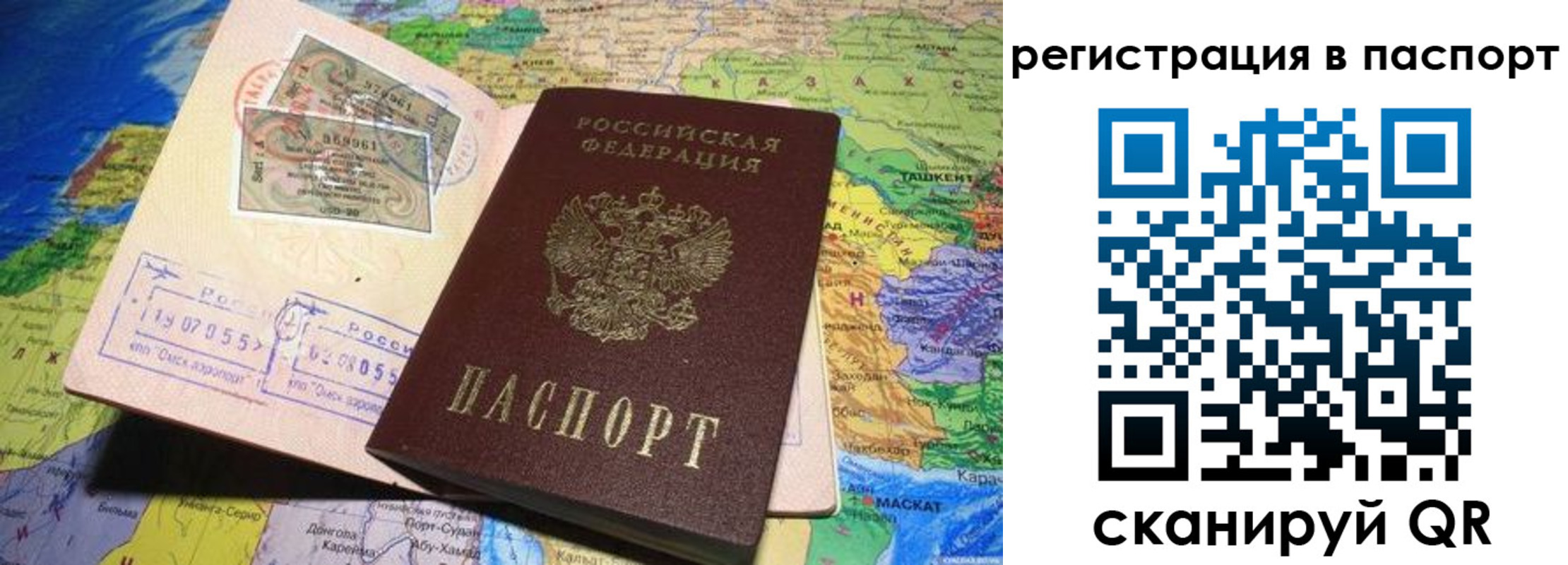 прописка гарантия в Ясном